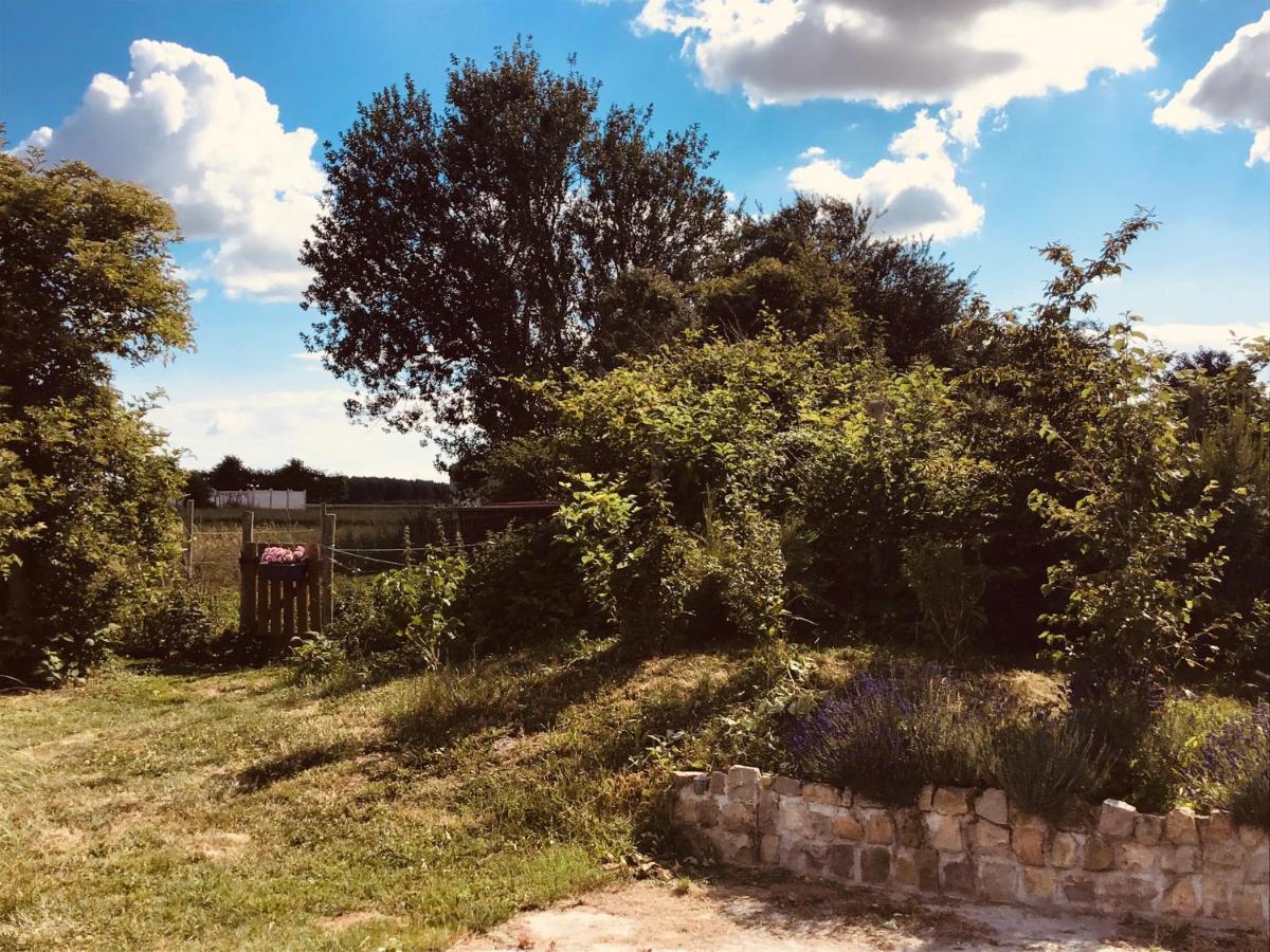 Le Chalet De La Ferme Du Tertre Villers-au-Tertre Стая снимка